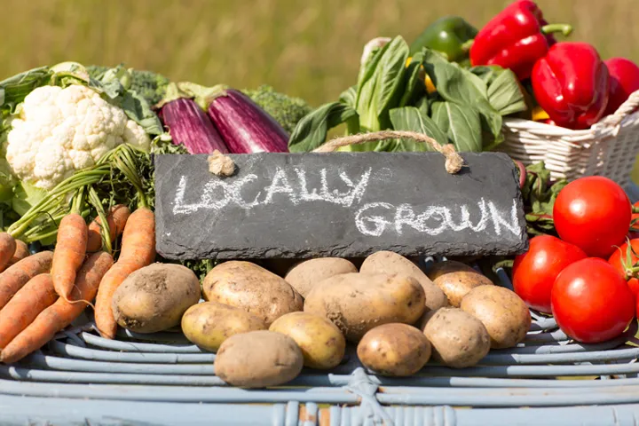 From Farm to Table: The Fascinating Journey of Locally Sourced Ingredients