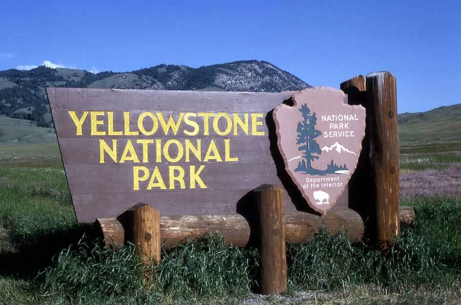 Yellow stone National Park